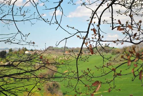 La Quercia Fano foto 47