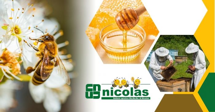 GIUSEPPE Susa foto 9