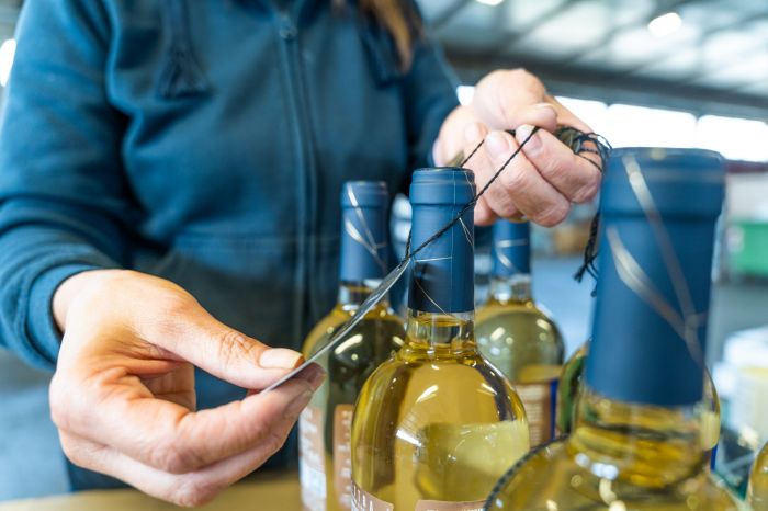 Giovanna Verona foto 6